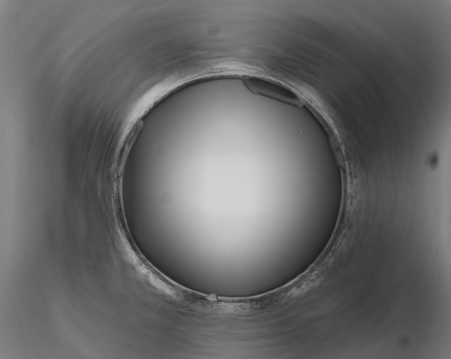 X0000115691381200912031432