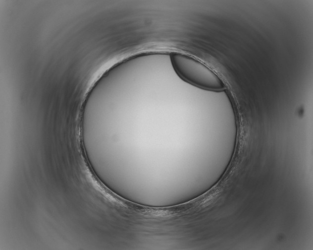 X0000115691382200912031432