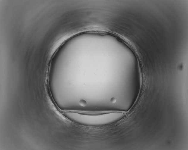 X0000115691383200912031432