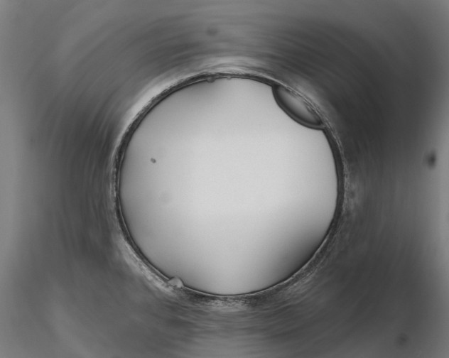 X0000115691384200912031432