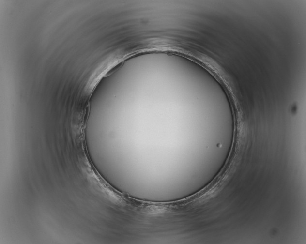 X0000115691385200912031432