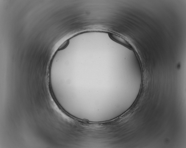 X0000115691387200912031432