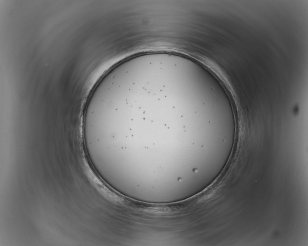 X0000115691388200912031432