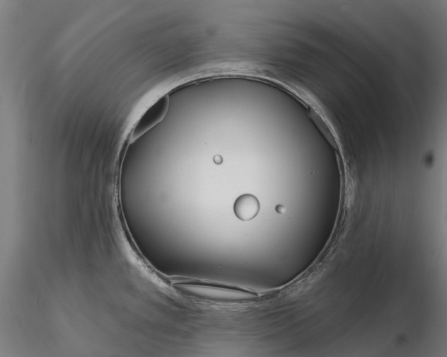 X0000115691389200912031432