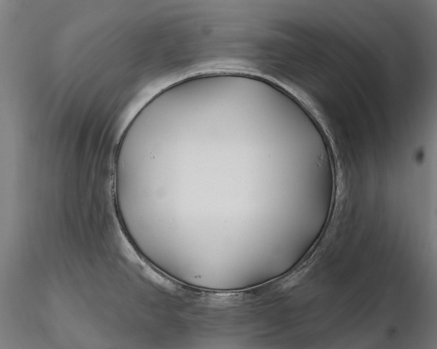 X0000115691390200912031432