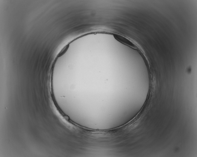 X0000115691391200912031432