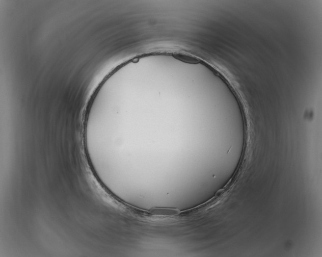 X0000115691392200912031432