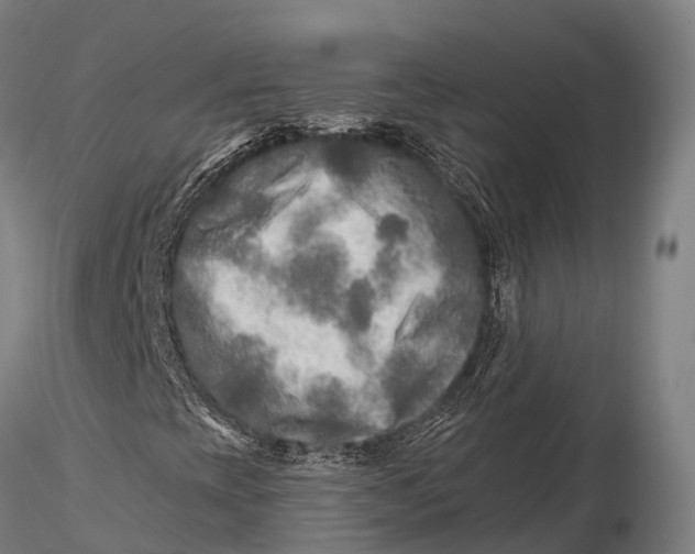 X0000115691393200912031431