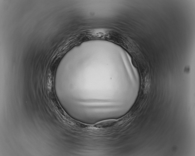 X0000115691394200912031431