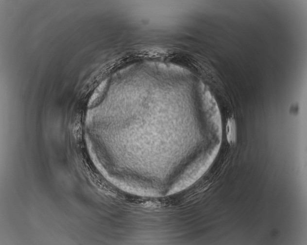 X0000115691395200912031432