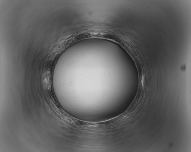 X0000115691396200912031432