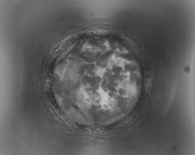 X0000115691397200912031432