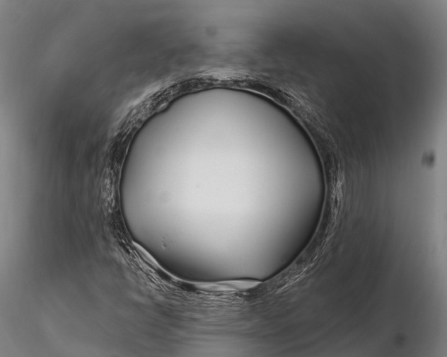 X0000115691398200912031432