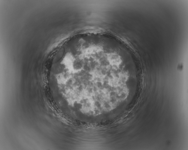 X0000115691399200912031432