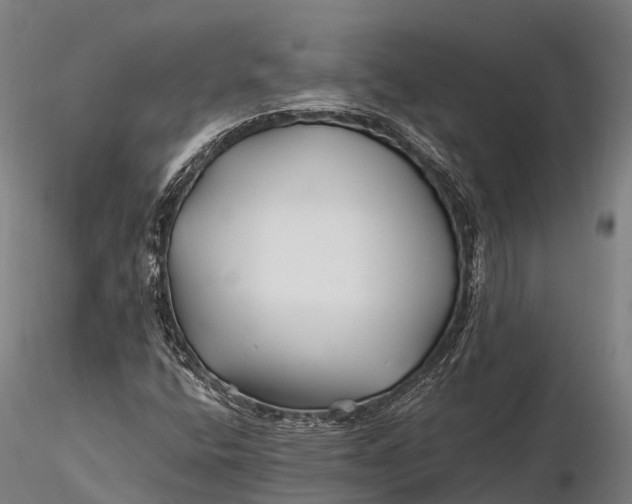 X0000115691400200912031432