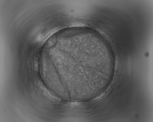 X0000115691401200912031432