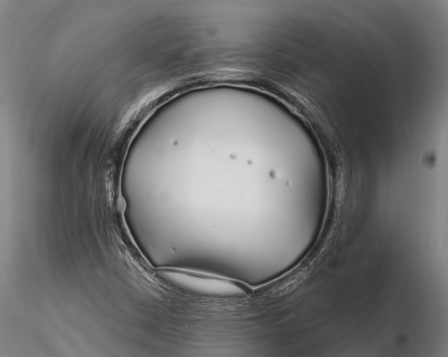 X0000115691402200912031432