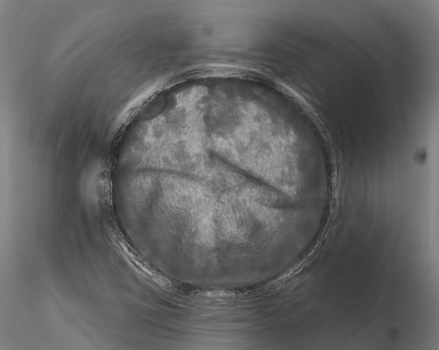 X0000115691403200912031432