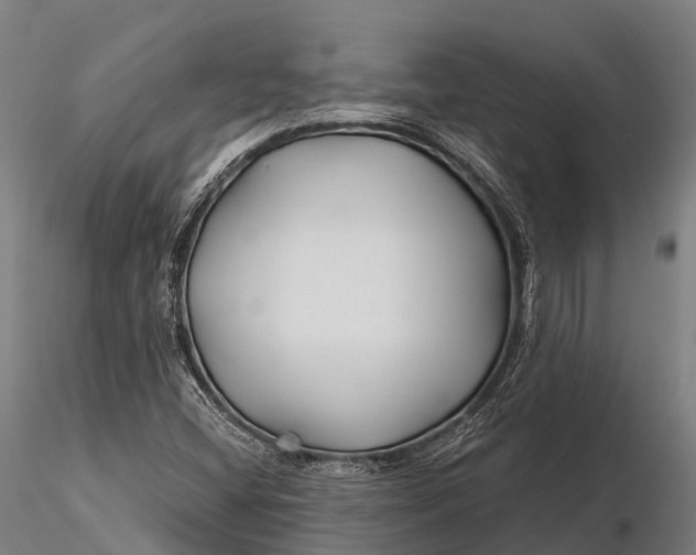 X0000115691404200912031432