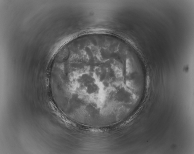 X0000115691405200912031432