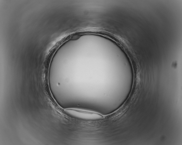 X0000115691406200912031432