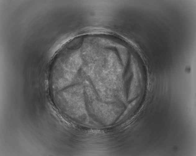 X0000115691407200912031432