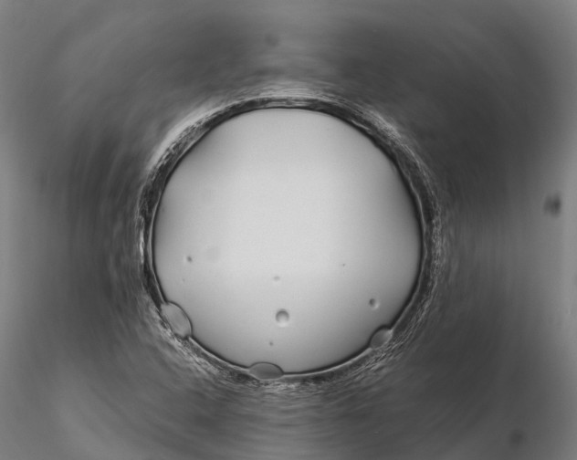 X0000115691408200912031432