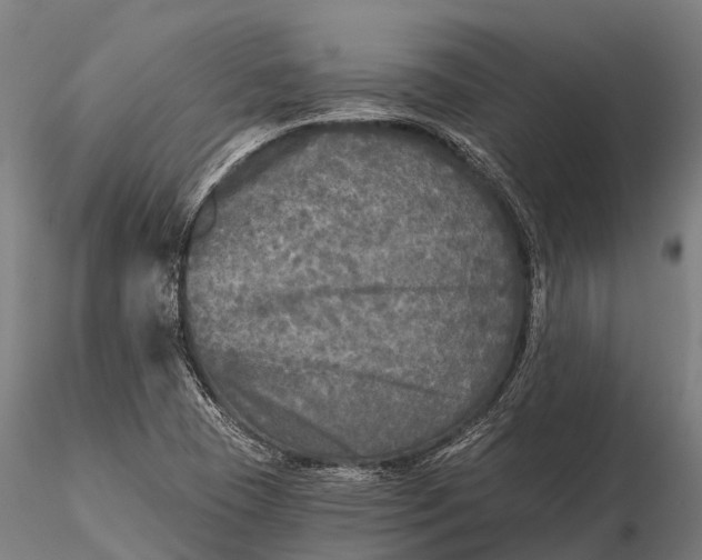 X0000115691409200912031432