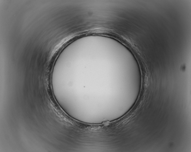 X0000115691410200912031432