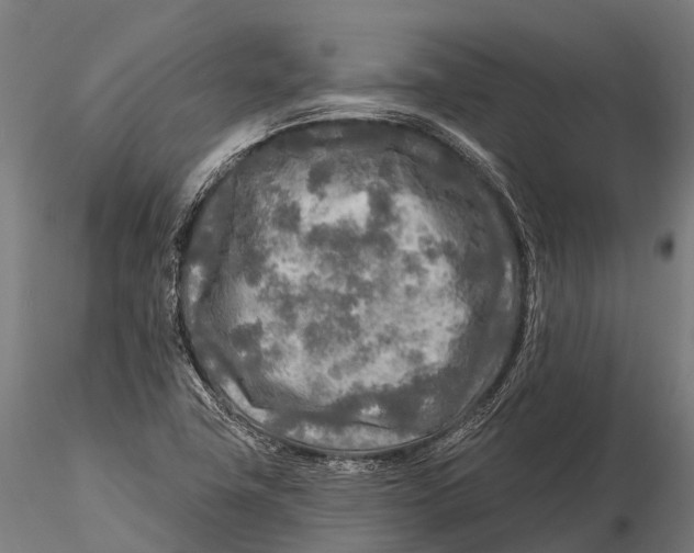 X0000115691411200912031432