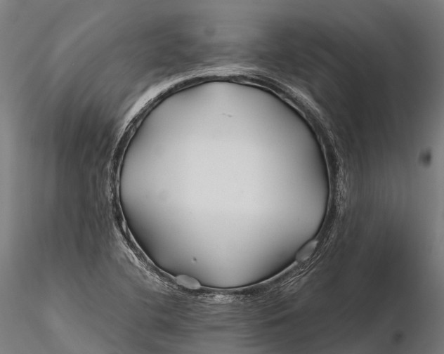 X0000115691412200912031432