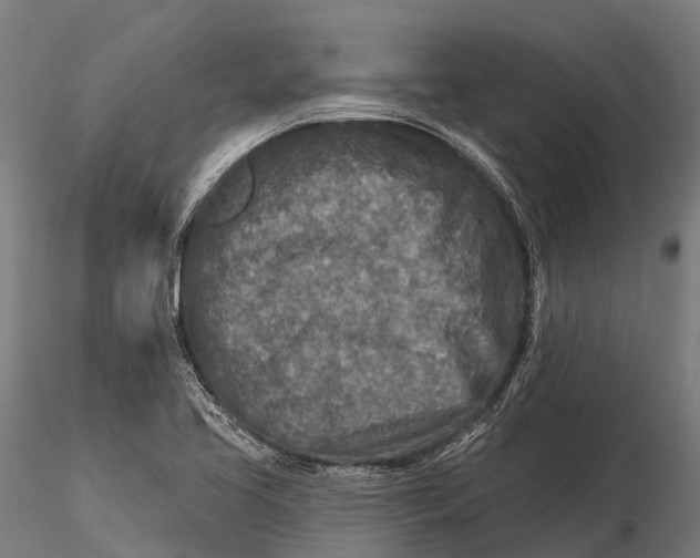 X0000115691413200912031432