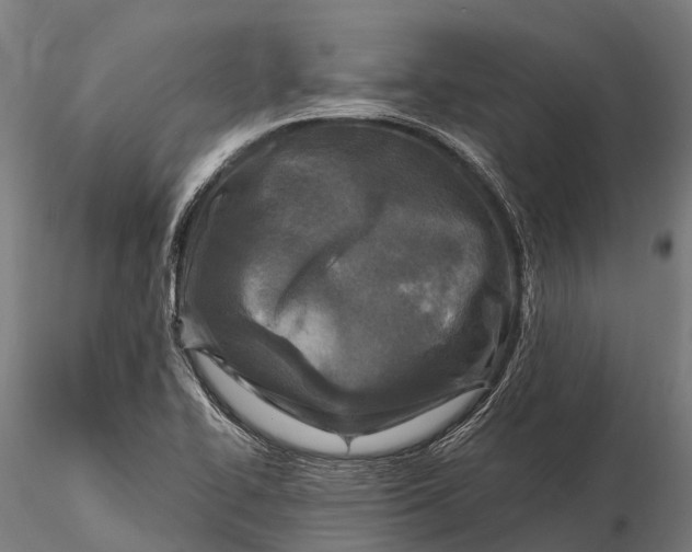 X0000115691414200912031432