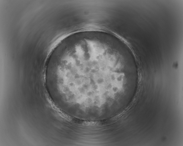 X0000115691415200912031432