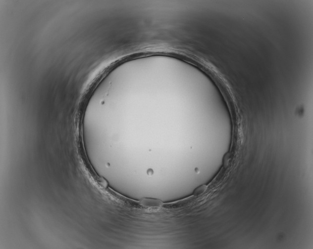 X0000115691416200912031432