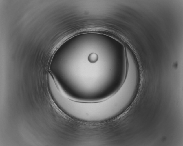 X0000115691417200912031432