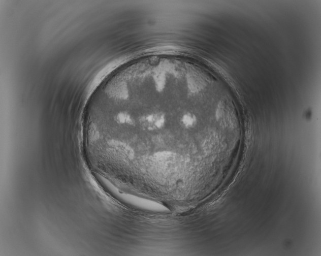 X0000115691418200912031432