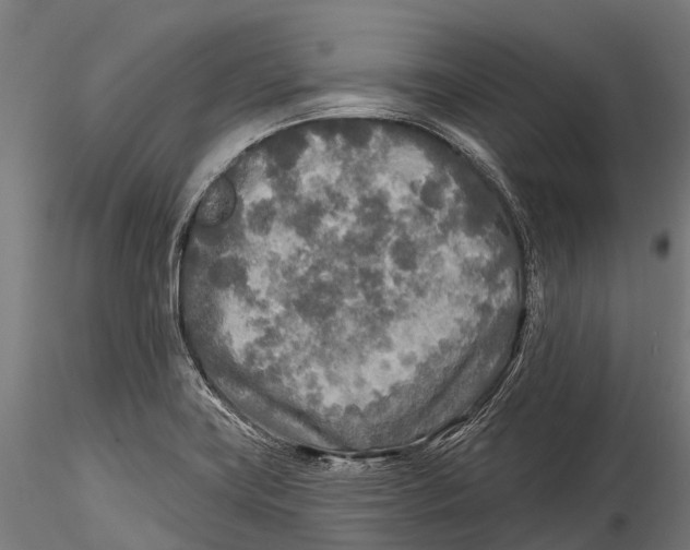 X0000115691419200912031432