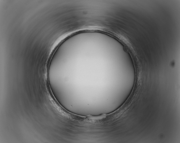 X0000115691420200912031432