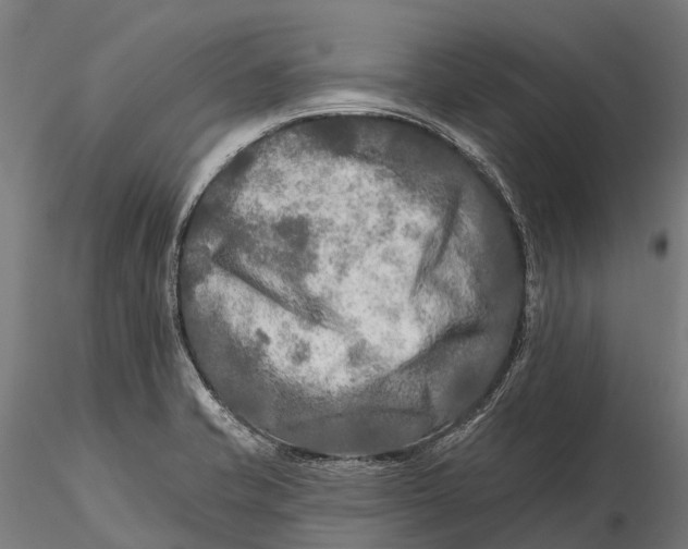 X0000115691421200912031432