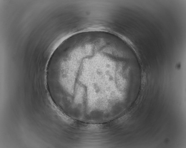 X0000115691423200912031432