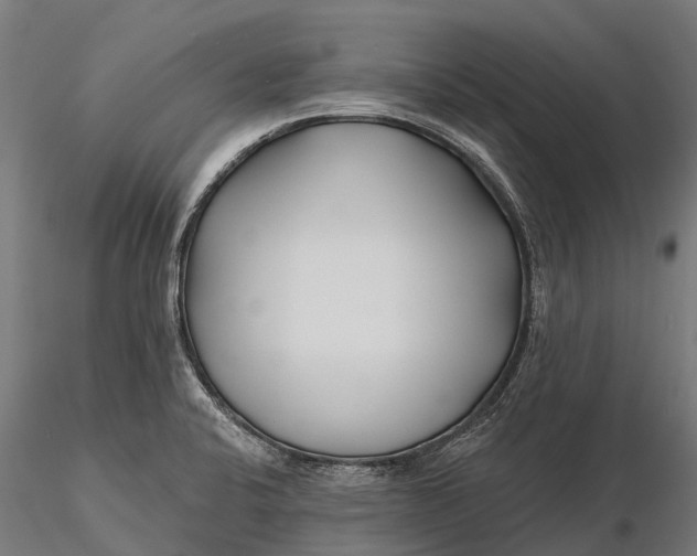 X0000115691424200912031432