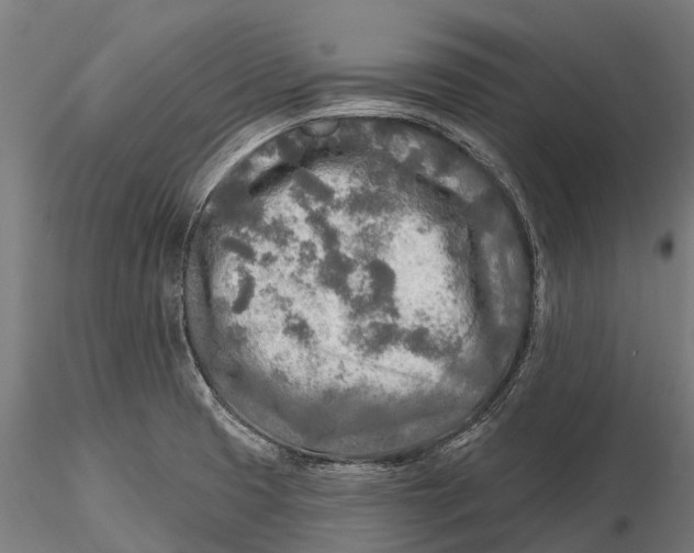 X0000115691425200912031432