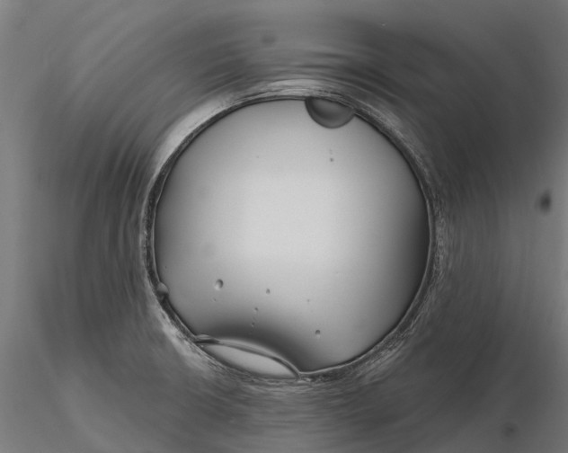 X0000115691426200912031432