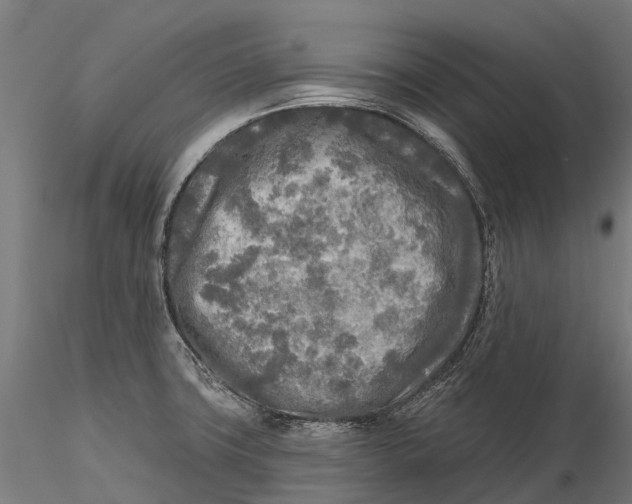 X0000115691427200912031432