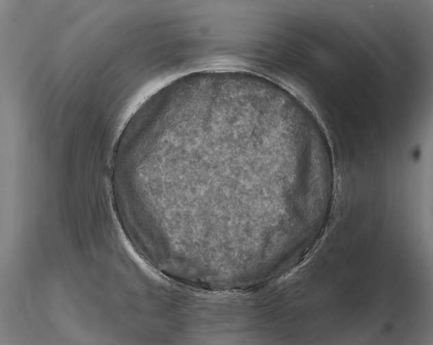 X0000115691429200912031432