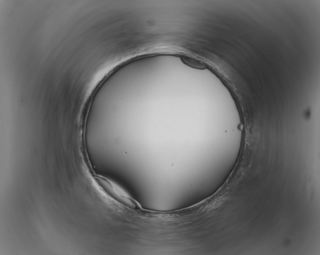 X0000115691430200912031432