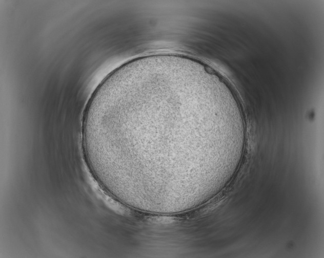 X0000115691431200912031432