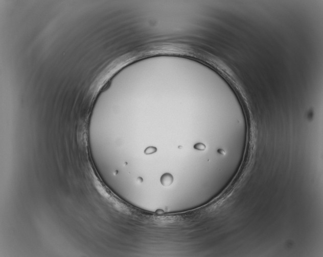 X0000115691433200912031432