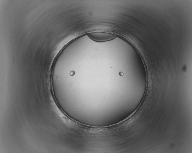 X0000115691434200912031432